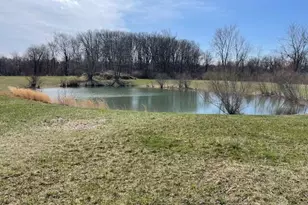 2280 Swan Rd, Dansville, MI 48819 - Photo 21