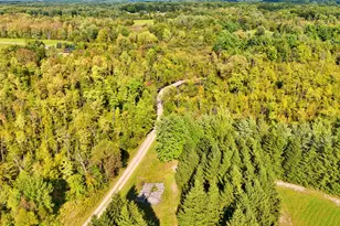 491 Bitter Crk Ln, Pierson, MI 49339 - Photo 17