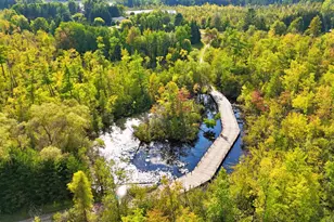 491 Bitter Crk Ln, Pierson, MI 49339 - Photo 21