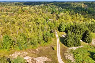 491 Bitter Crk Ln, Pierson, MI 49339 - Photo 15