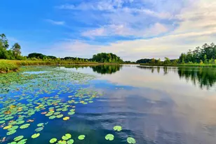 491 Bitter Crk Ln, Pierson, MI 49339 - Photo 45