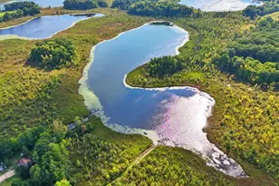 491 Bitter Crk Ln, Pierson, MI 49339 - Photo 9