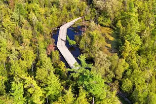 491 Bitter Crk Ln, Pierson, MI 49339 - Photo 19