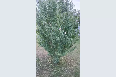 545 E Streambank Street, Newaygo, MI 49337 - Photo 11