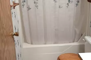 545 E Streambank St, Newaygo, MI 49337 - Photo 17