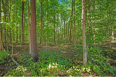 620 W Warren Woods Road, Galien, MI 49113 - Photo 11