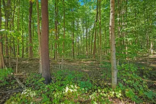 620 W Warren Woods Rd, Galien, MI 49113 - Photo 11