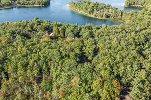 2447 W Lake Shore Dr, Bitely, MI 49309 - Photo 9