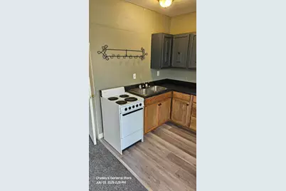 141 County Street, Milan, MI 48160 - Photo 15