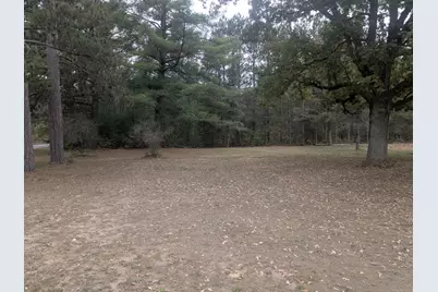 13798 Graf Road, Brethren, MI 49619 - Photo 1