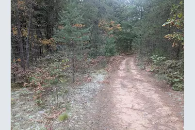 13798 Graf Road, Brethren, MI 49619 - Photo 3