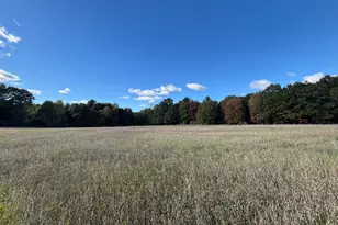 V/L 20A N Campbell Rd, Fountain, MI 49410 - Photo 13