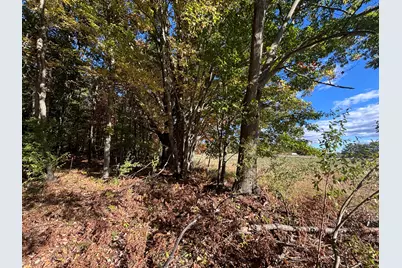 V/L 20A N Campbell Road, Fountain, MI 49410 - Photo 19