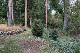 408 Felch St, Ann Arbor, MI 48103 - Photo 7