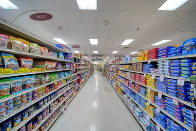 325 Railroad Street, Hudson, MI 49247 - Photo 33