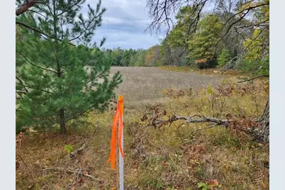 Parcel G Tatanka Trail, Baldwin, MI 49304 - Photo 3