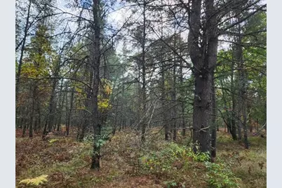 Parcel H Tatanka Trail, Baldwin, MI 49304 - Photo 3