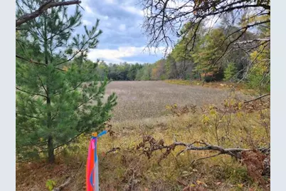 Parcel J Tatanka Trail, Baldwin, MI 49304 - Photo 3