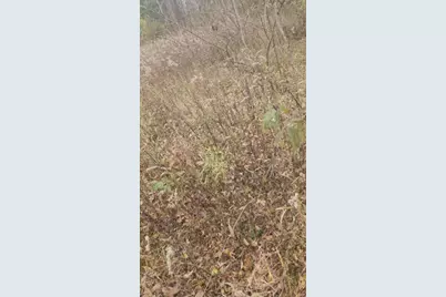 V/L 132nd Avenue, Shelby, MI 49455 - Photo 9