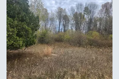 V/L 132nd Avenue, Shelby, MI 49455 - Photo 3