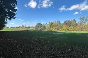 7644 Bothwell Hwy, Hudson, MI 49247 - Photo 59