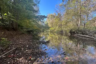 7644 Bothwell Hwy, Hudson, MI 49247 - Photo 43