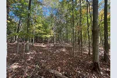 7644 Bothwell Highway, Hudson, MI 49247 - Photo 55
