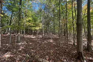 7644 Bothwell Hwy, Hudson, MI 49247 - Photo 55