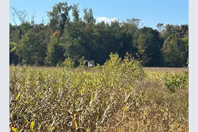 7644 Bothwell Highway, Hudson, MI 49247 - Photo 47