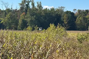 7644 Bothwell Hwy, Hudson, MI 49247 - Photo 47