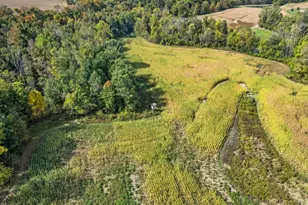 7644 Bothwell Hwy, Hudson, MI 49247 - Photo 35