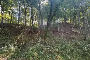 7644 Bothwell Hwy, Hudson, MI 49247 - Photo 45