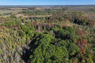 2697 N 176th Ave, Walkerville, MI 49459 - Photo 55