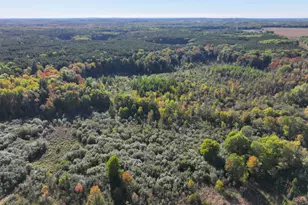 2697 N 176th Ave, Walkerville, MI 49459 - Photo 63