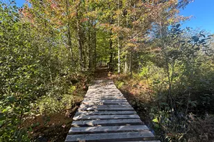 2697 N 176th Ave, Walkerville, MI 49459 - Photo 79