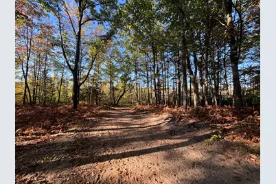 2697 N 176th Avenue, Walkerville, MI 49459 - Photo 73