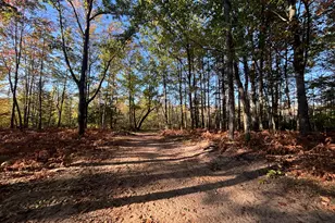 2697 N 176th Ave, Walkerville, MI 49459 - Photo 73