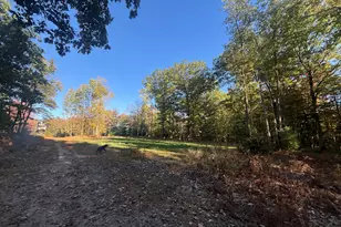 2697 N 176th Ave, Walkerville, MI 49459 - Photo 83