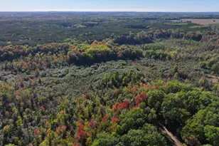 2697 N 176th Ave, Walkerville, MI 49459 - Photo 53