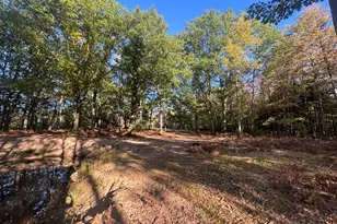 2697 N 176th Ave, Walkerville, MI 49459 - Photo 81