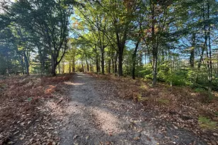 2697 N 176th Ave, Walkerville, MI 49459 - Photo 69