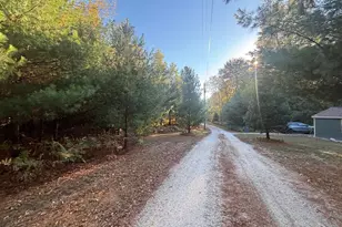 2697 N 176th Ave, Walkerville, MI 49459 - Photo 93