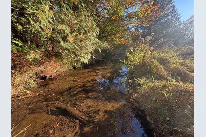 2697 N 176th Avenue, Walkerville, MI 49459 - Photo 77