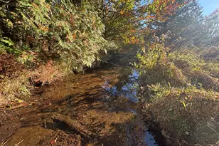 2697 N 176th Ave, Walkerville, MI 49459 - Photo 77