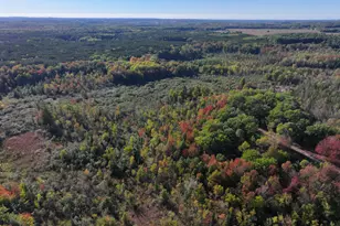 2697 N 176th Ave, Walkerville, MI 49459 - Photo 51