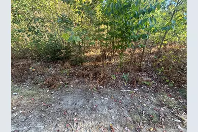 2697 N 176th Avenue, Walkerville, MI 49459 - Photo 67