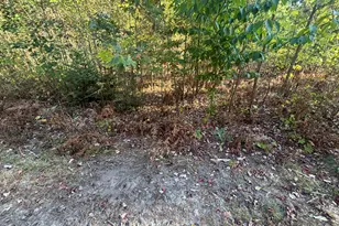 2697 N 176th Ave, Walkerville, MI 49459 - Photo 67