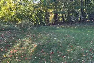 513 S Water St, Hart, MI 49420 - Photo 29