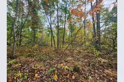 4869 E Free Soil Road, Free Soil, MI 49411 - Photo 25