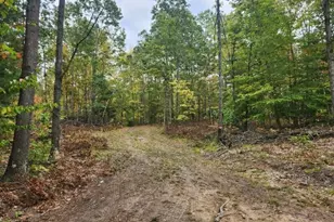 4869 E Free Soil Rd, Free Soil, MI 49411 - Photo 27